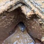 High-Pressure Drain Jetting