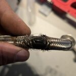 Leak Detection and Repairs